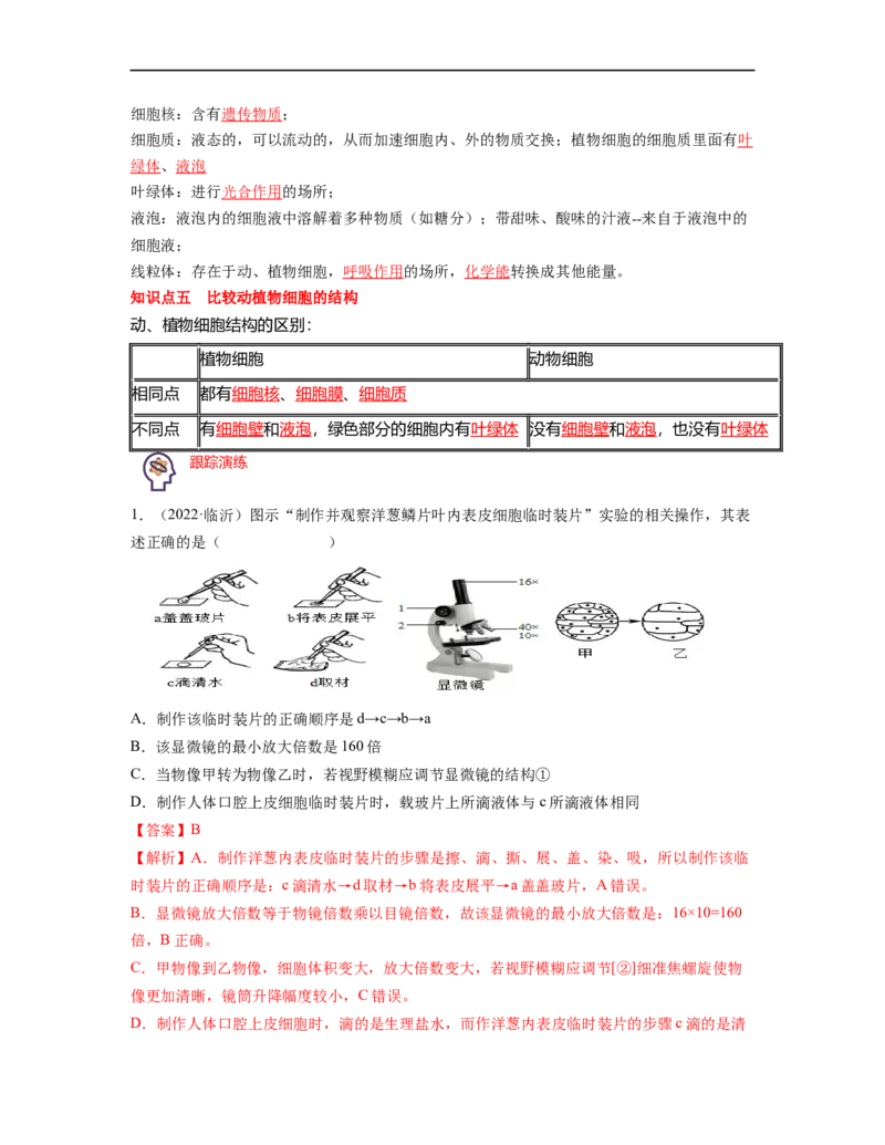 专题02生物体的结构层次背诵清单+跟踪训练（教师版）_6生物中考复习_2023年中考复习资料_一轮复习_2023年中考生物一轮大单元复习过过过（全国通用）