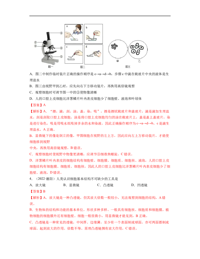 专题02生物体的结构层次背诵清单+跟踪训练（教师版）_6生物中考复习_2023年中考复习资料_一轮复习_2023年中考生物一轮大单元复习过过过（全国通用）