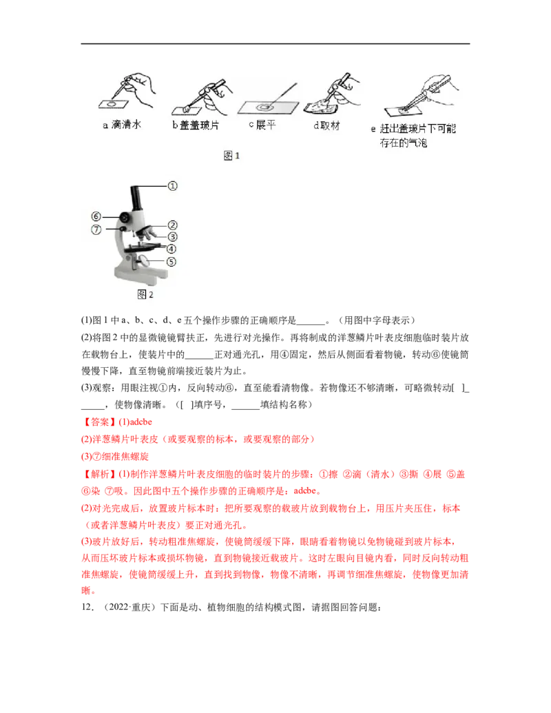 专题02生物体的结构层次背诵清单+跟踪训练（教师版）_6生物中考复习_2023年中考复习资料_一轮复习_2023年中考生物一轮大单元复习过过过（全国通用）