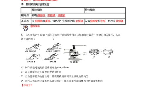 专题02生物体的结构层次背诵清单+跟踪训练（教师版）_6生物中考复习_2023年中考复习资料_一轮复习_2023年中考生物一轮大单元复习过过过（全国通用）