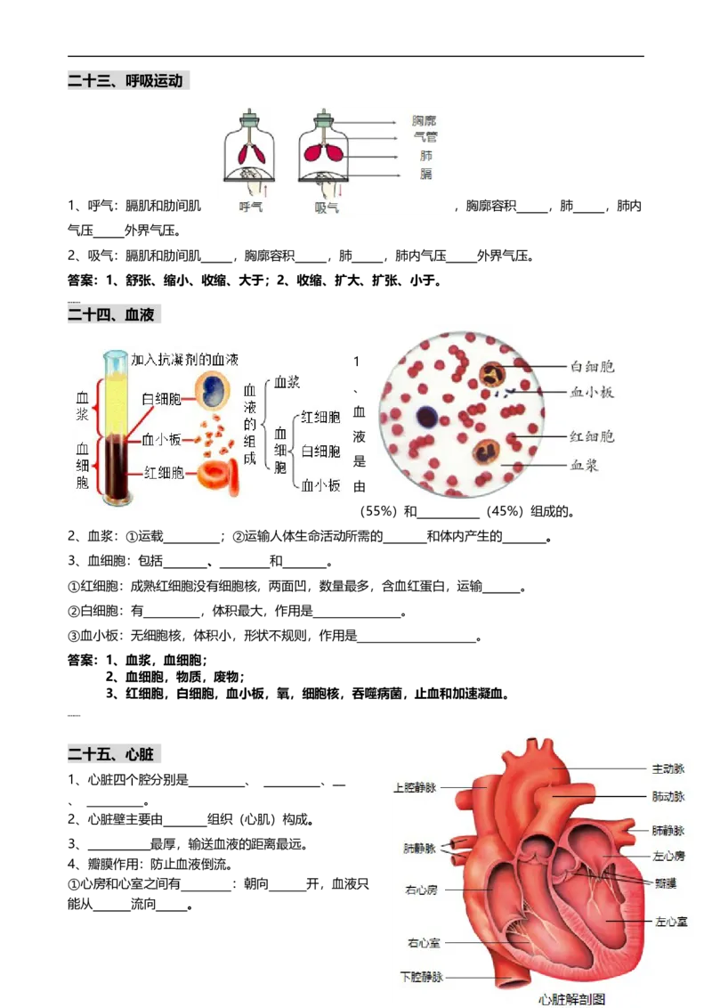 ❤初中生物重要识图填空速记50个_6生物中考复习_2024年中考复习资料_专项复习资料