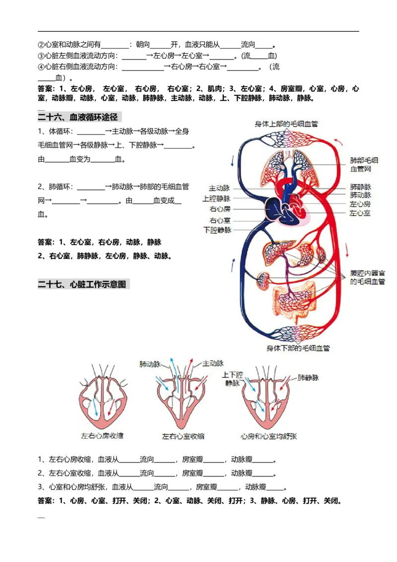 ❤初中生物重要识图填空速记50个_6生物中考复习_2024年中考复习资料_专项复习资料