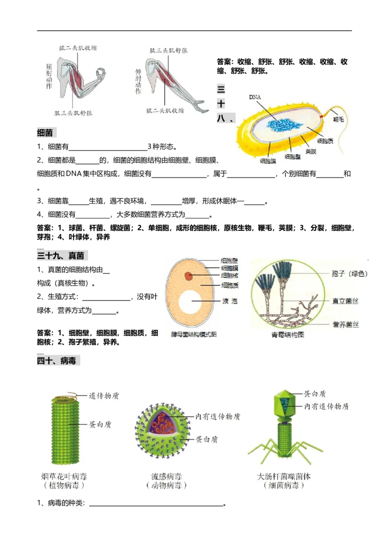 ❤初中生物重要识图填空速记50个_6生物中考复习_2024年中考复习资料_专项复习资料