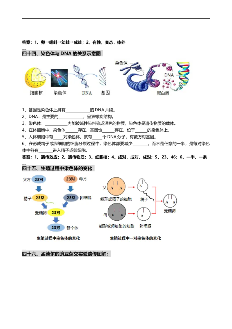 ❤初中生物重要识图填空速记50个_6生物中考复习_2024年中考复习资料_专项复习资料