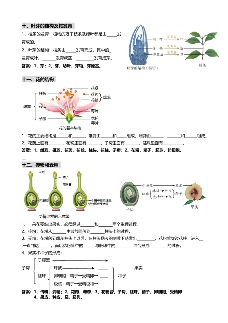 ❤初中生物重要识图填空速记50个_6生物中考复习_2024年中考复习资料_专项复习资料