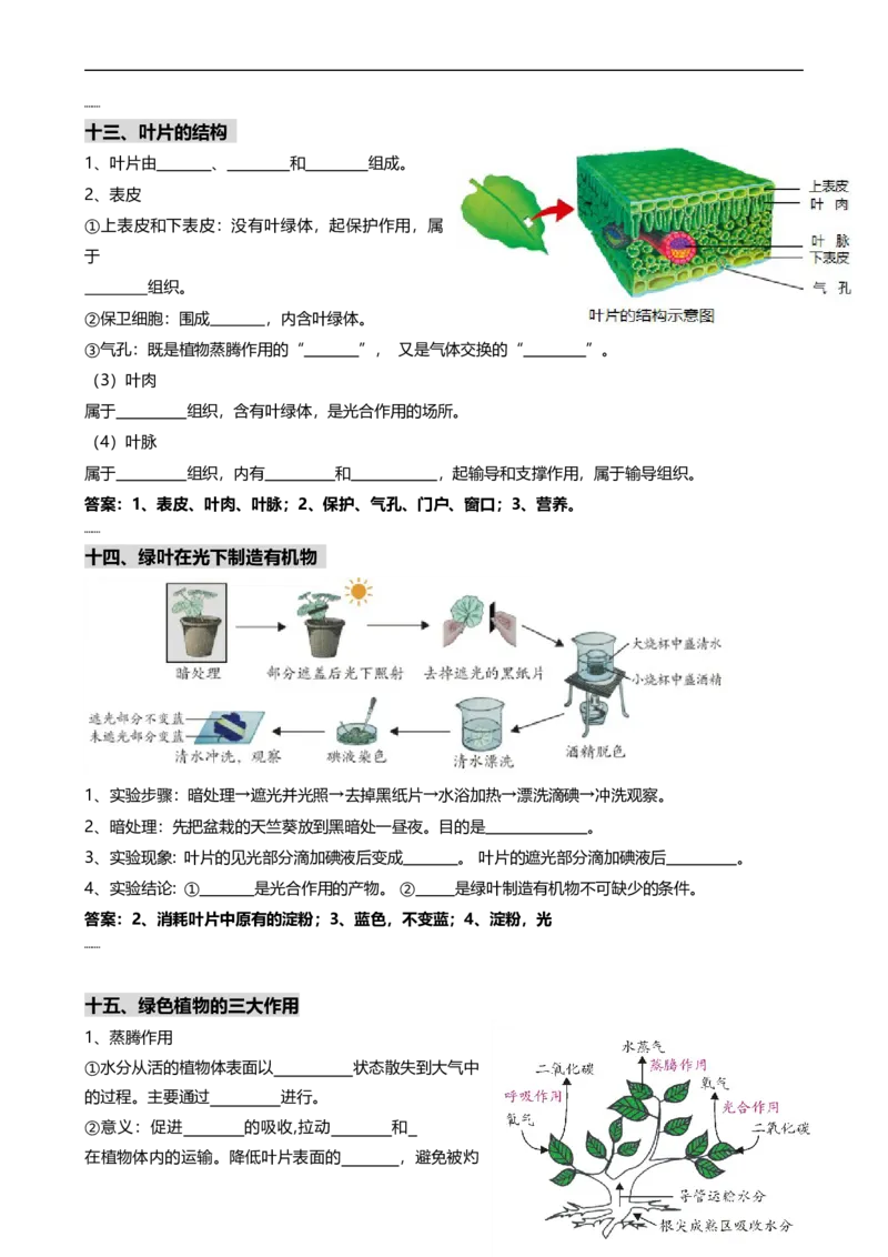 ❤初中生物重要识图填空速记50个_6生物中考复习_2024年中考复习资料_专项复习资料