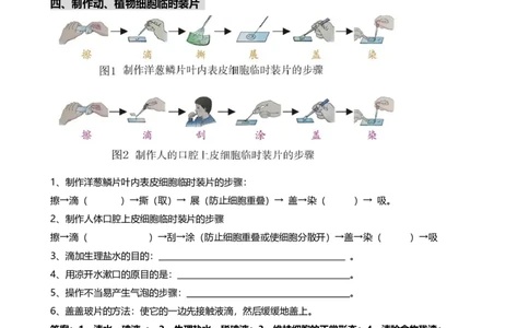 ❤初中生物重要识图填空速记50个_6生物中考复习_2024年中考复习资料_专项复习资料