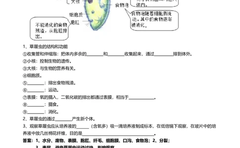 ❤初中生物重要识图填空速记50个_6生物中考复习_2024年中考复习资料_专项复习资料