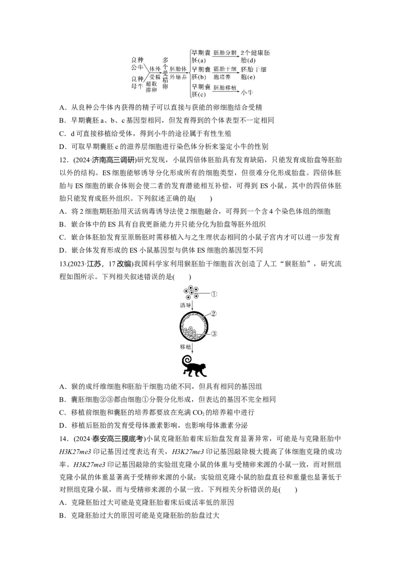 第十单元　课时练60　胚胎工程_2025年新高考资料_一轮复习_2025大一轮复习讲义+课件（完结）_2025大一轮复习讲义生物学生用书Word版文档整书_2025一轮复习73练