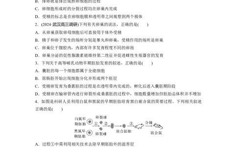 第十单元　课时练60　胚胎工程_2025年新高考资料_一轮复习_2025大一轮复习讲义+课件（完结）_2025大一轮复习讲义生物学生用书Word版文档整书_2025一轮复习73练