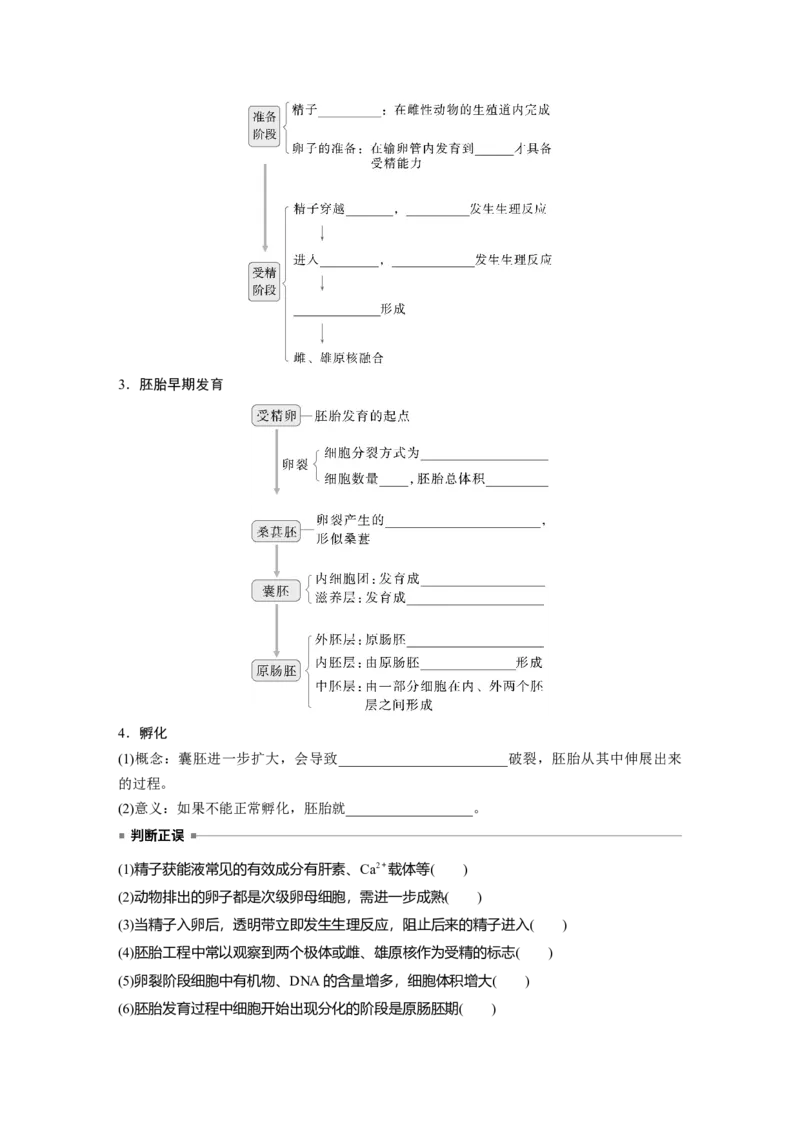 第十单元　第60课时　胚胎工程_2025年新高考资料_一轮复习_2025大一轮复习讲义+课件（完结）_2025大一轮复习讲义生物学生用书Word版文档整书_2025大一轮复习讲义