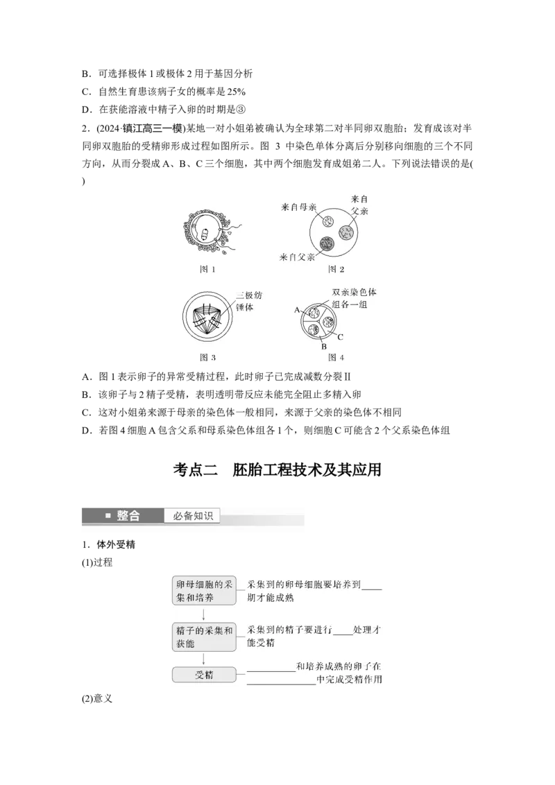 第十单元　第60课时　胚胎工程_2025年新高考资料_一轮复习_2025大一轮复习讲义+课件（完结）_2025大一轮复习讲义生物学生用书Word版文档整书_2025大一轮复习讲义