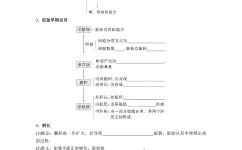 第十单元　第60课时　胚胎工程_2025年新高考资料_一轮复习_2025大一轮复习讲义+课件（完结）_2025大一轮复习讲义生物学生用书Word版文档整书_2025大一轮复习讲义