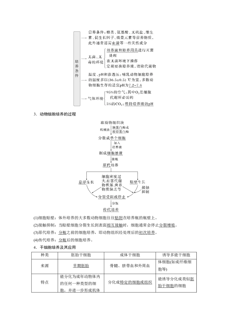 第十单元　第59课时　动物细胞工程_新高考复习资料_2025年新高考资料_2025新高考一轮复习生物_2025大一轮复习讲义生物人教版教师用书Word版文档整书_配套Word版文档第七~十单元
