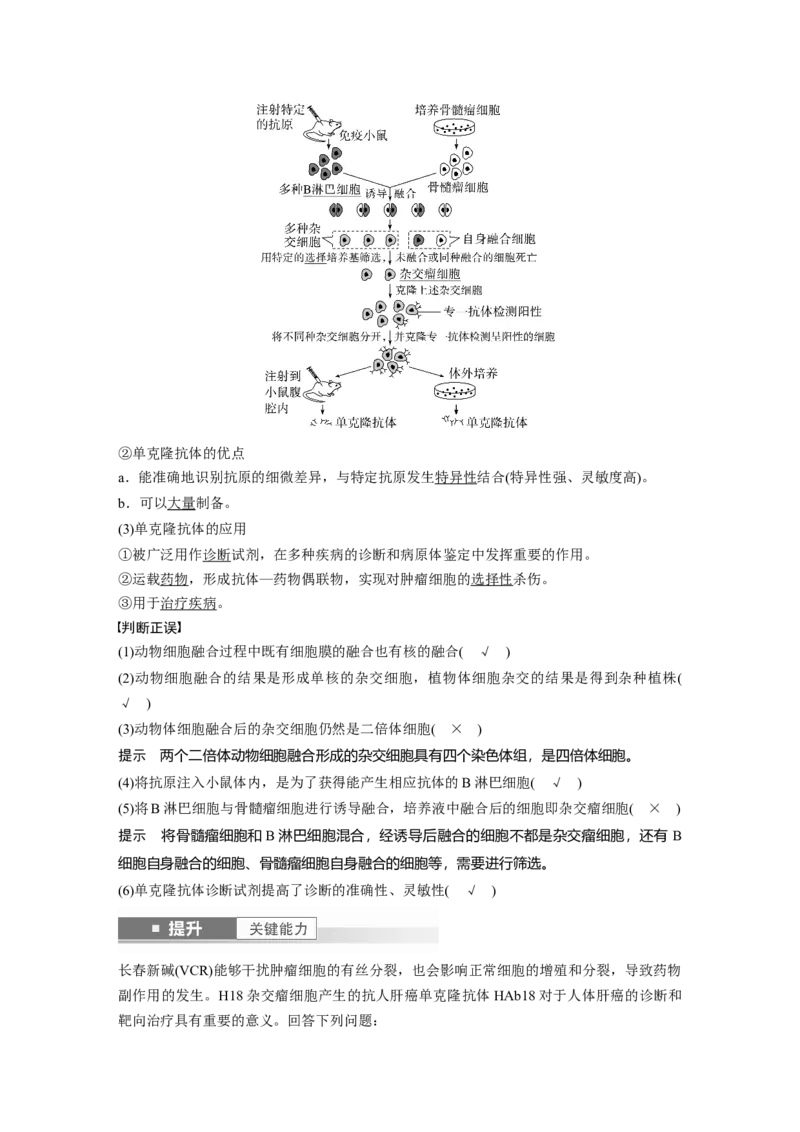 第十单元　第59课时　动物细胞工程_新高考复习资料_2025年新高考资料_2025新高考一轮复习生物_2025大一轮复习讲义生物人教版教师用书Word版文档整书_配套Word版文档第七~十单元