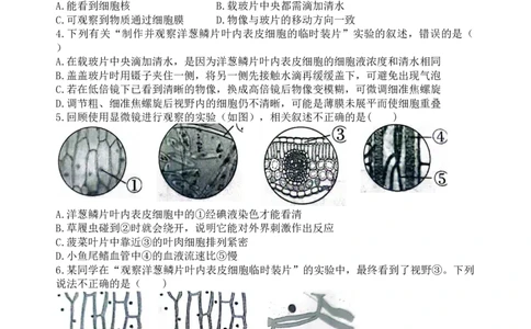 专题03显微镜的结构、功能和使用（原卷版）_6生物中考复习_2024年中考复习资料_一轮复习资料_完精准复习课件精讲ppt+习题精练备战2024年中考生物一轮复习全考点通关_配套练习