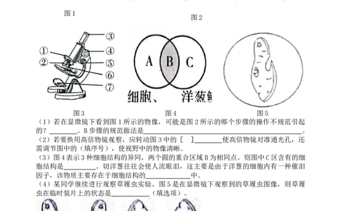 专题03显微镜的结构、功能和使用（原卷版）_6生物中考复习_2024年中考复习资料_一轮复习资料_完精准复习课件精讲ppt+习题精练备战2024年中考生物一轮复习全考点通关_配套练习