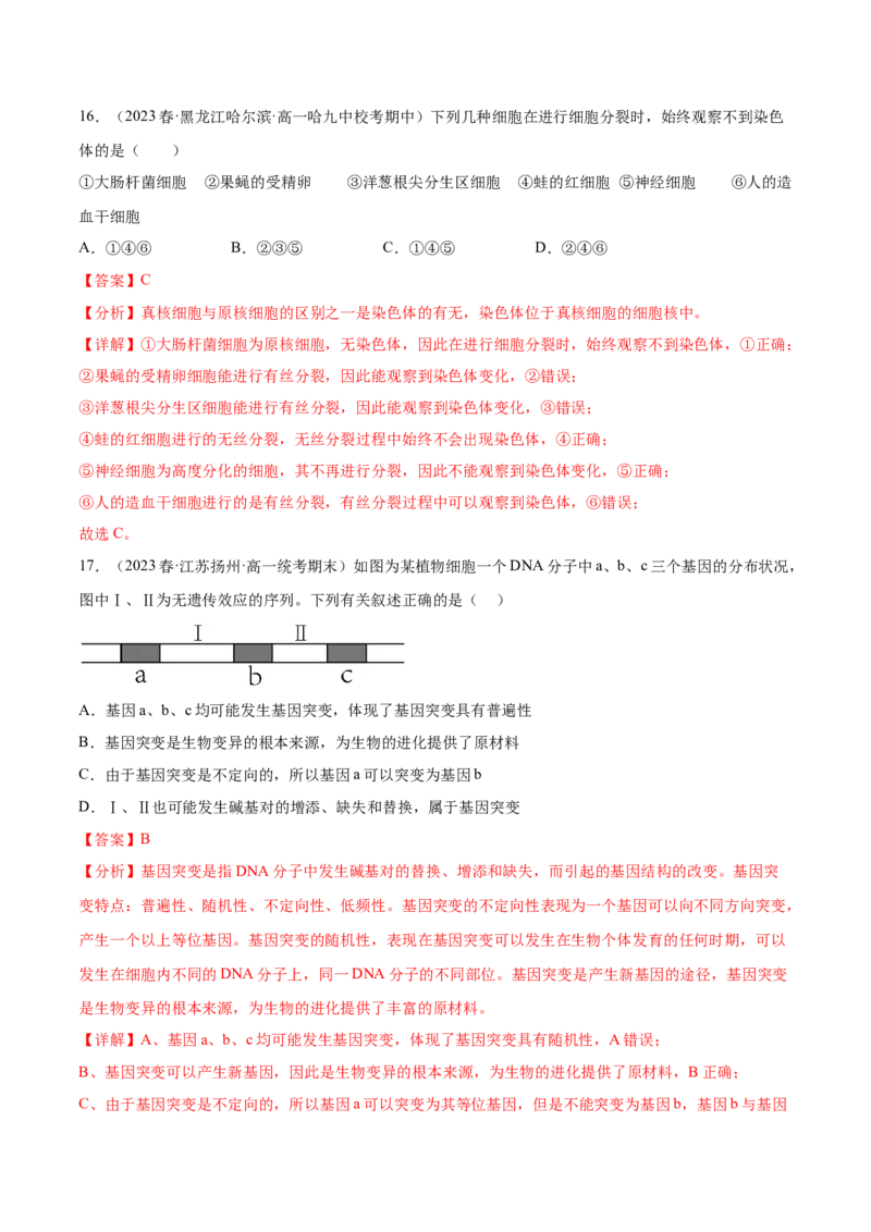 第四单元细胞的生命历程（测试）（解析版）_新高考复习资料_2024年新高考复习资料_一轮复习资料_完2024年高考生物一轮复习讲练测(课件+讲义+练习)（新高考）_单元测试