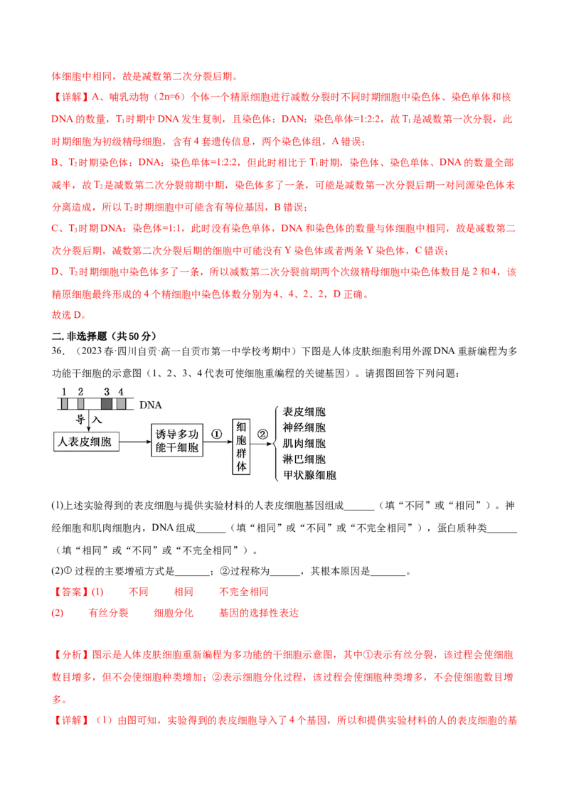 第四单元细胞的生命历程（测试）（解析版）_新高考复习资料_2024年新高考复习资料_一轮复习资料_完2024年高考生物一轮复习讲练测(课件+讲义+练习)（新高考）_单元测试