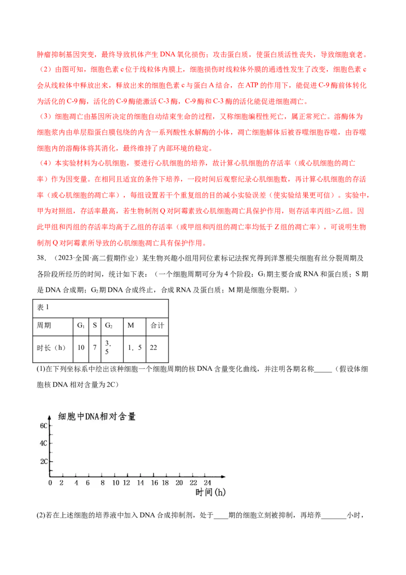 第四单元细胞的生命历程（测试）（解析版）_新高考复习资料_2024年新高考复习资料_一轮复习资料_完2024年高考生物一轮复习讲练测(课件+讲义+练习)（新高考）_单元测试