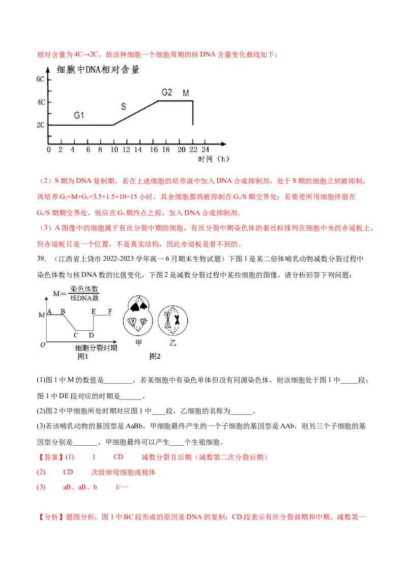 第四单元细胞的生命历程（测试）（解析版）_新高考复习资料_2024年新高考复习资料_一轮复习资料_完2024年高考生物一轮复习讲练测(课件+讲义+练习)（新高考）_单元测试