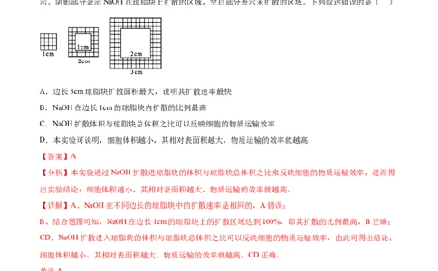 第四单元细胞的生命历程（测试）（解析版）_新高考复习资料_2024年新高考复习资料_一轮复习资料_完2024年高考生物一轮复习讲练测(课件+讲义+练习)（新高考）_单元测试
