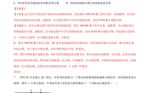 第四单元细胞的生命历程（测试）（解析版）_新高考复习资料_2024年新高考复习资料_一轮复习资料_完2024年高考生物一轮复习讲练测(课件+讲义+练习)（新高考）_单元测试