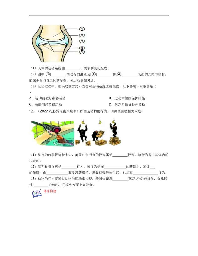 专题05生物圈中的其他生物（一）背诵清单+跟踪训练（学生版）_6生物中考复习_2023年中考复习资料_一轮复习_2023年中考生物一轮大单元复习过过过（全国通用）