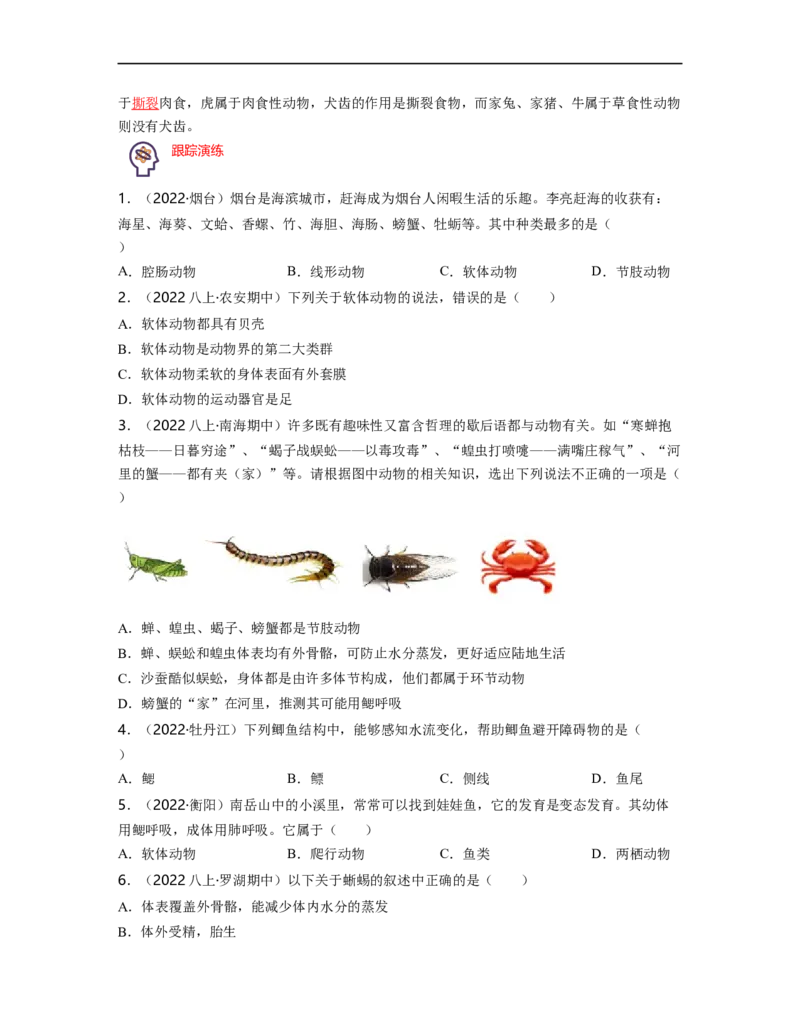 专题05生物圈中的其他生物（一）背诵清单+跟踪训练（学生版）_6生物中考复习_2023年中考复习资料_一轮复习_2023年中考生物一轮大单元复习过过过（全国通用）