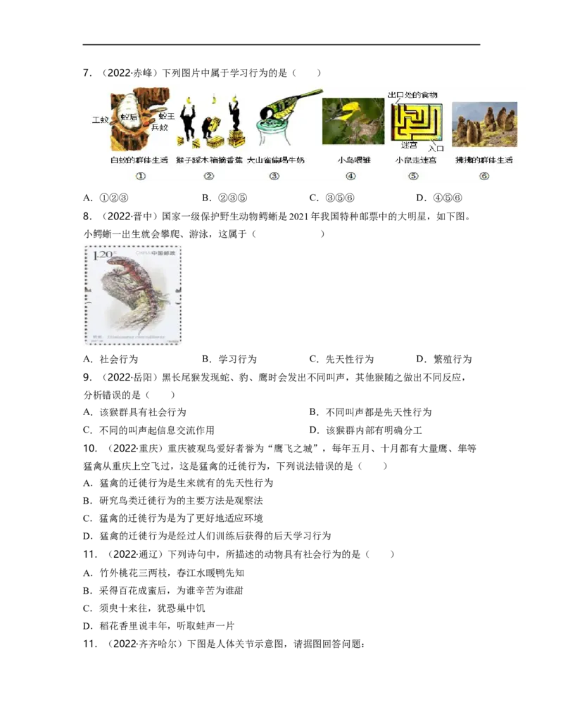 专题05生物圈中的其他生物（一）背诵清单+跟踪训练（学生版）_6生物中考复习_2023年中考复习资料_一轮复习_2023年中考生物一轮大单元复习过过过（全国通用）