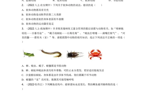 专题05生物圈中的其他生物（一）背诵清单+跟踪训练（学生版）_6生物中考复习_2023年中考复习资料_一轮复习_2023年中考生物一轮大单元复习过过过（全国通用）