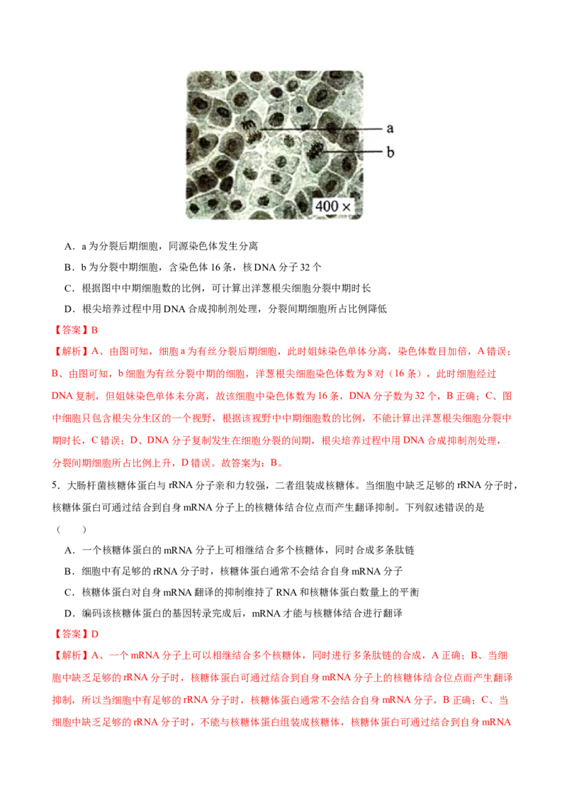 第十四单元基因工程及生物技术的安全性与伦理问题（B卷能力提升练）-2023年高考生物一轮复习单元滚动双测卷（新高考专用）（解析版）_新高考复习资料_2023年新高考复习资料