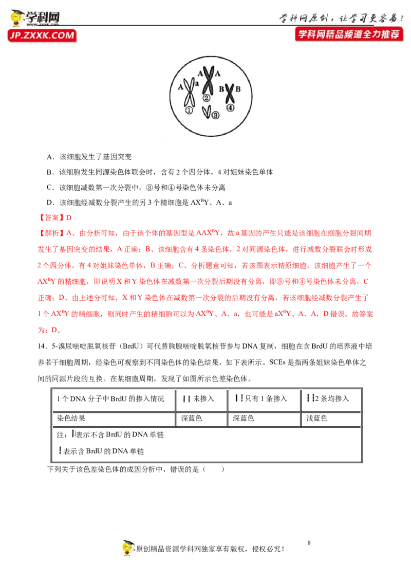 第十四单元基因工程及生物技术的安全性与伦理问题（B卷能力提升练）-2023年高考生物一轮复习单元滚动双测卷（新高考专用）（解析版）_新高考复习资料_2023年新高考复习资料