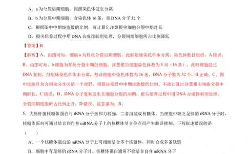 第十四单元基因工程及生物技术的安全性与伦理问题（B卷能力提升练）-2023年高考生物一轮复习单元滚动双测卷（新高考专用）（解析版）_新高考复习资料_2023年新高考复习资料