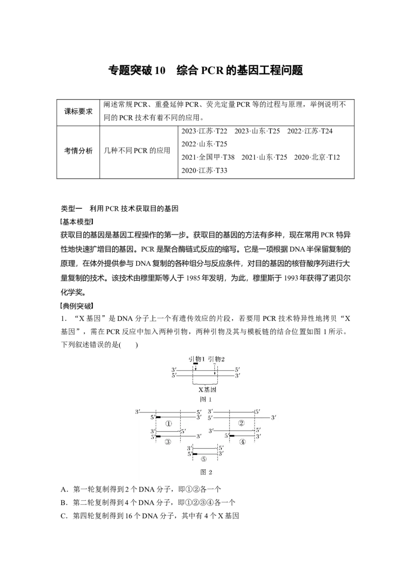 第十单元　专题突破10　综合PCR的基因工程问题_2025年新高考资料_一轮复习_2025大一轮复习讲义+课件（完结）_2025大一轮复习讲义生物教师用书Word版文档整书
