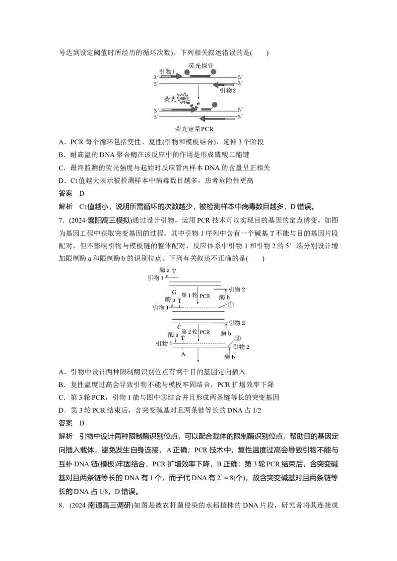 第十单元　专题突破10　综合PCR的基因工程问题_2025年新高考资料_一轮复习_2025大一轮复习讲义+课件（完结）_2025大一轮复习讲义生物教师用书Word版文档整书