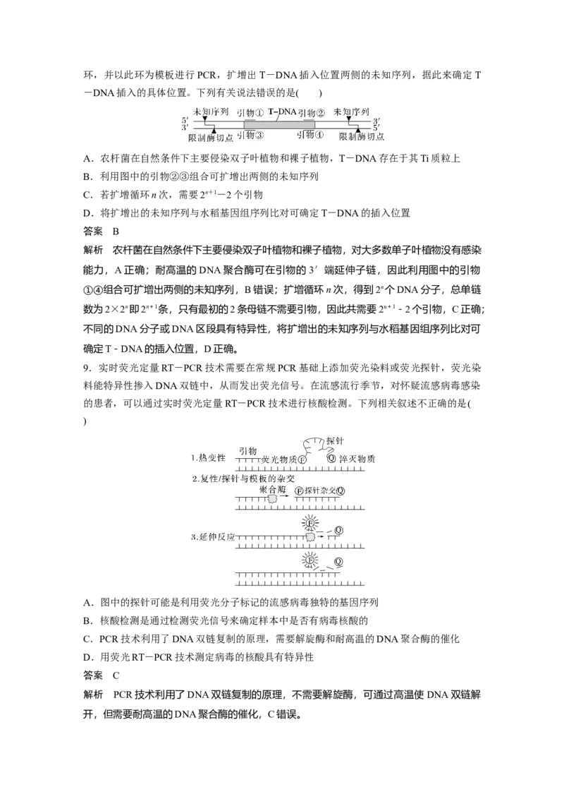 第十单元　专题突破10　综合PCR的基因工程问题_2025年新高考资料_一轮复习_2025大一轮复习讲义+课件（完结）_2025大一轮复习讲义生物教师用书Word版文档整书