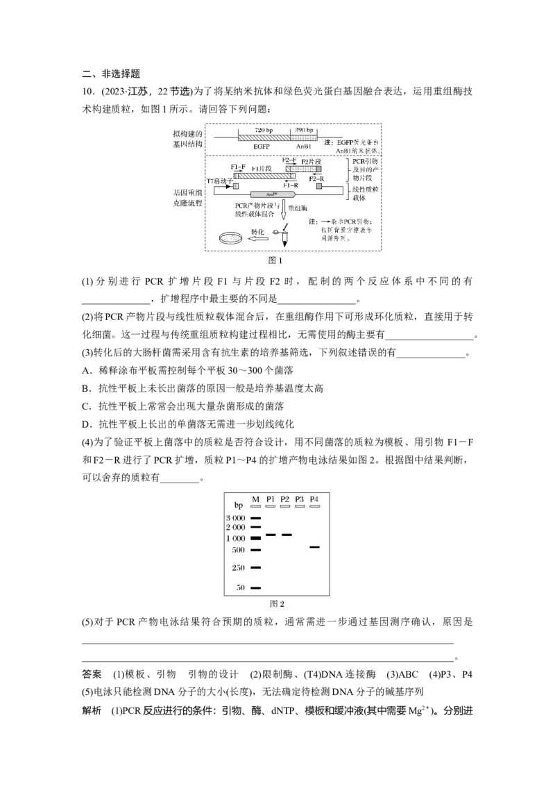 第十单元　专题突破10　综合PCR的基因工程问题_2025年新高考资料_一轮复习_2025大一轮复习讲义+课件（完结）_2025大一轮复习讲义生物教师用书Word版文档整书