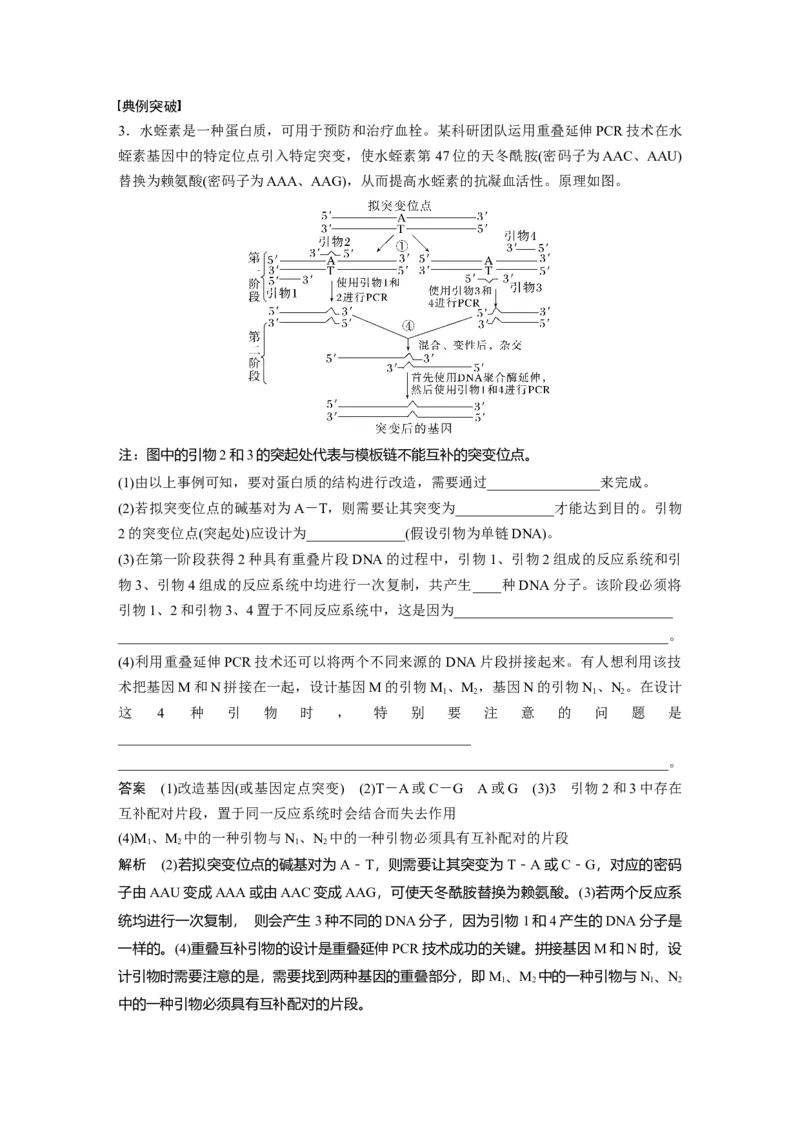 第十单元　专题突破10　综合PCR的基因工程问题_2025年新高考资料_一轮复习_2025大一轮复习讲义+课件（完结）_2025大一轮复习讲义生物教师用书Word版文档整书