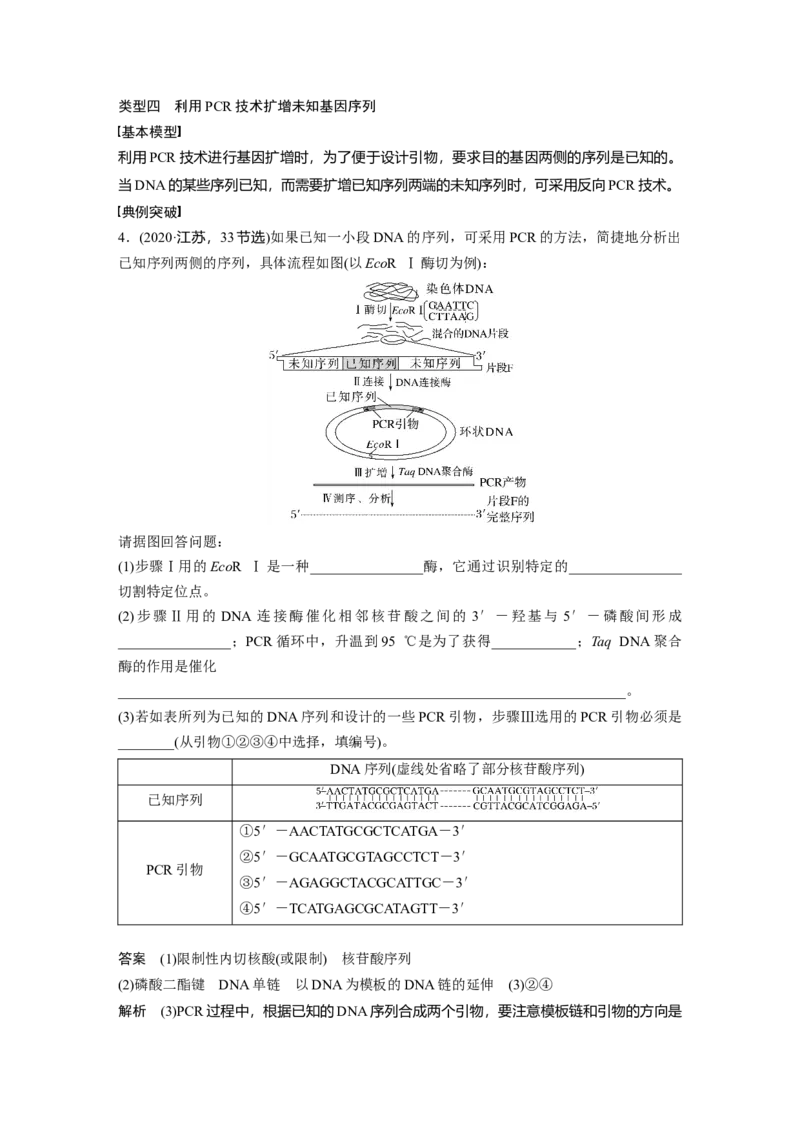 第十单元　专题突破10　综合PCR的基因工程问题_2025年新高考资料_一轮复习_2025大一轮复习讲义+课件（完结）_2025大一轮复习讲义生物教师用书Word版文档整书