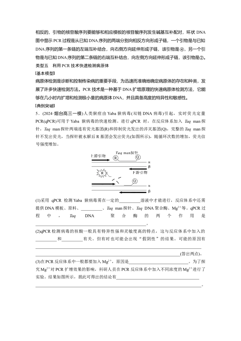 第十单元　专题突破10　综合PCR的基因工程问题_2025年新高考资料_一轮复习_2025大一轮复习讲义+课件（完结）_2025大一轮复习讲义生物教师用书Word版文档整书