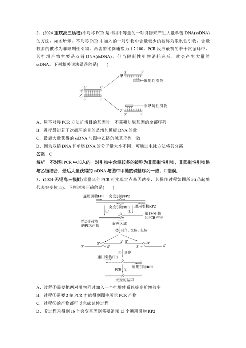 第十单元　专题突破10　综合PCR的基因工程问题_2025年新高考资料_一轮复习_2025大一轮复习讲义+课件（完结）_2025大一轮复习讲义生物教师用书Word版文档整书