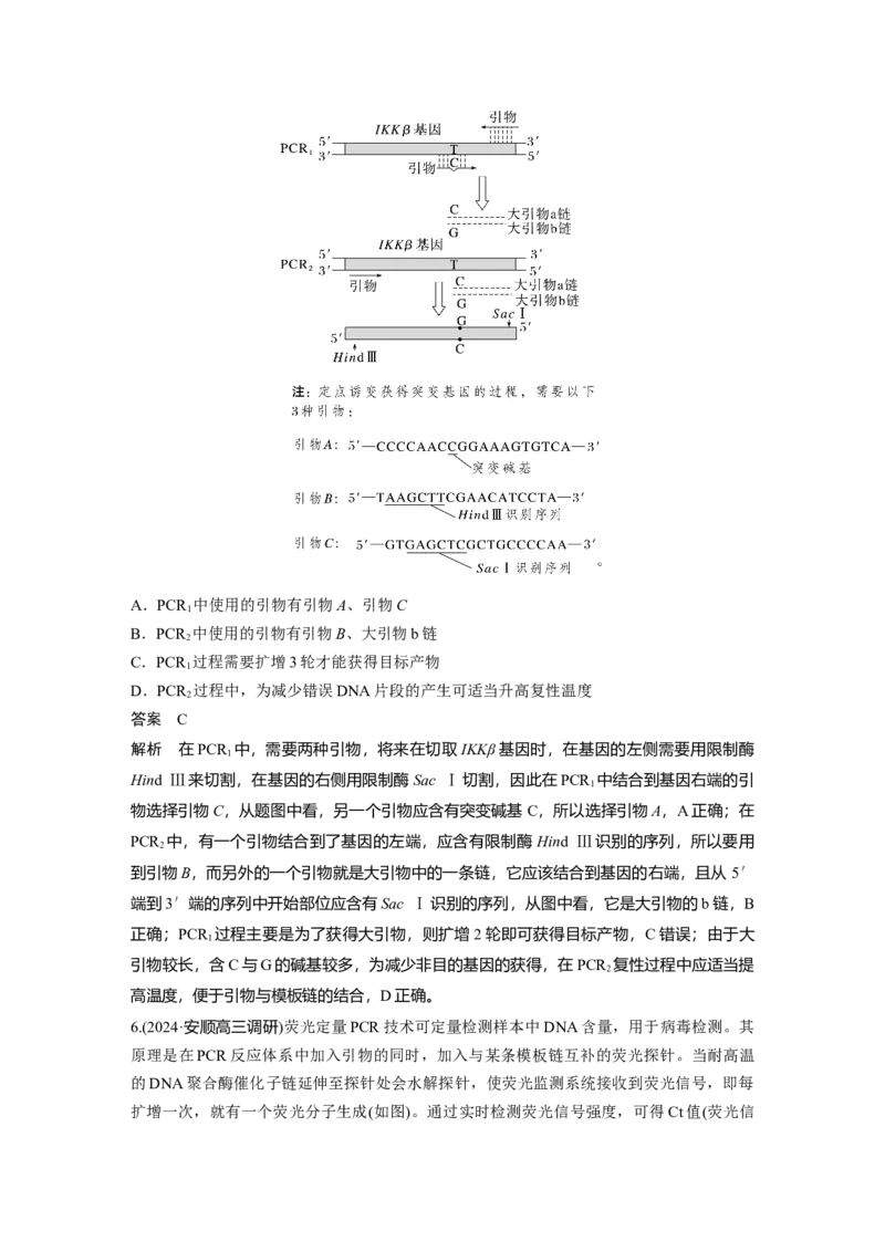 第十单元　专题突破10　综合PCR的基因工程问题_2025年新高考资料_一轮复习_2025大一轮复习讲义+课件（完结）_2025大一轮复习讲义生物教师用书Word版文档整书