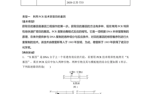 第十单元　专题突破10　综合PCR的基因工程问题_2025年新高考资料_一轮复习_2025大一轮复习讲义+课件（完结）_2025大一轮复习讲义生物教师用书Word版文档整书