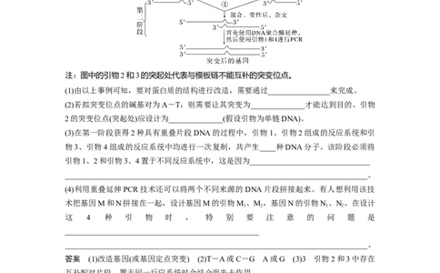 第十单元　专题突破10　综合PCR的基因工程问题_2025年新高考资料_一轮复习_2025大一轮复习讲义+课件（完结）_2025大一轮复习讲义生物教师用书Word版文档整书