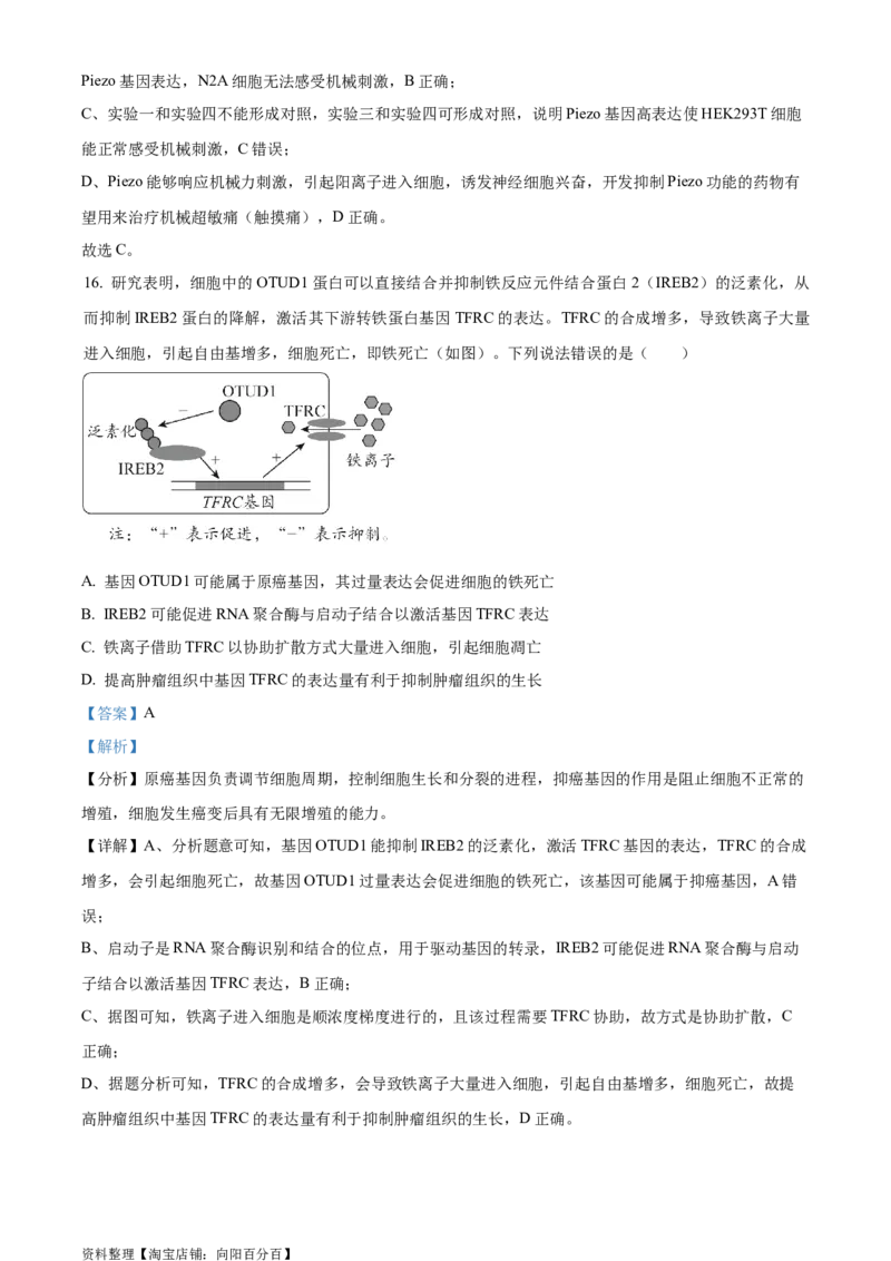 精品解析：2024届湖北省新高考全国Ⅰ卷模拟-生物试题（解析版）_生物高考模拟题_新高考_2024年_精品解析：2024届湖北省新高考全国Ⅰ卷模拟-生物试题