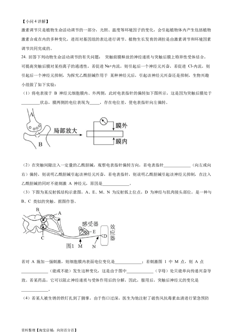精品解析：2024届湖北省新高考全国Ⅰ卷模拟-生物试题（解析版）_生物高考模拟题_新高考_2024年_精品解析：2024届湖北省新高考全国Ⅰ卷模拟-生物试题
