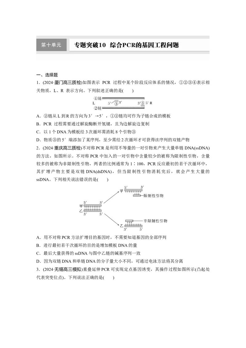 第十单元　专题突破10　综合PCR的基因工程问题_2025年新高考资料_一轮复习_2025大一轮复习讲义+课件（完结）_2025大一轮复习讲义生物学生用书Word版文档整书_2025一轮复习73练