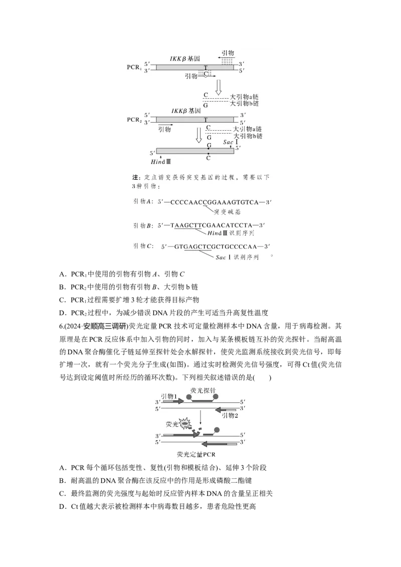 第十单元　专题突破10　综合PCR的基因工程问题_2025年新高考资料_一轮复习_2025大一轮复习讲义+课件（完结）_2025大一轮复习讲义生物学生用书Word版文档整书_2025一轮复习73练