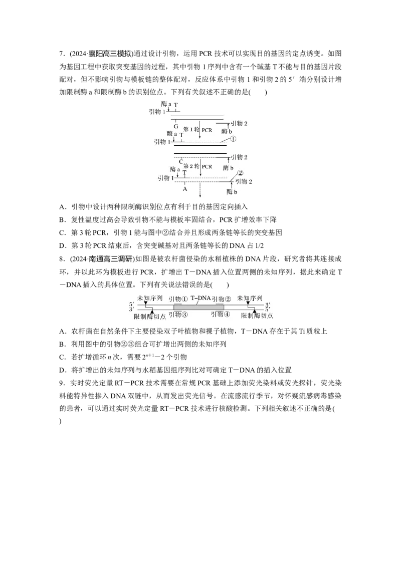 第十单元　专题突破10　综合PCR的基因工程问题_2025年新高考资料_一轮复习_2025大一轮复习讲义+课件（完结）_2025大一轮复习讲义生物学生用书Word版文档整书_2025一轮复习73练